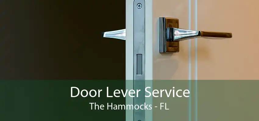 Door Lever Service The Hammocks - FL